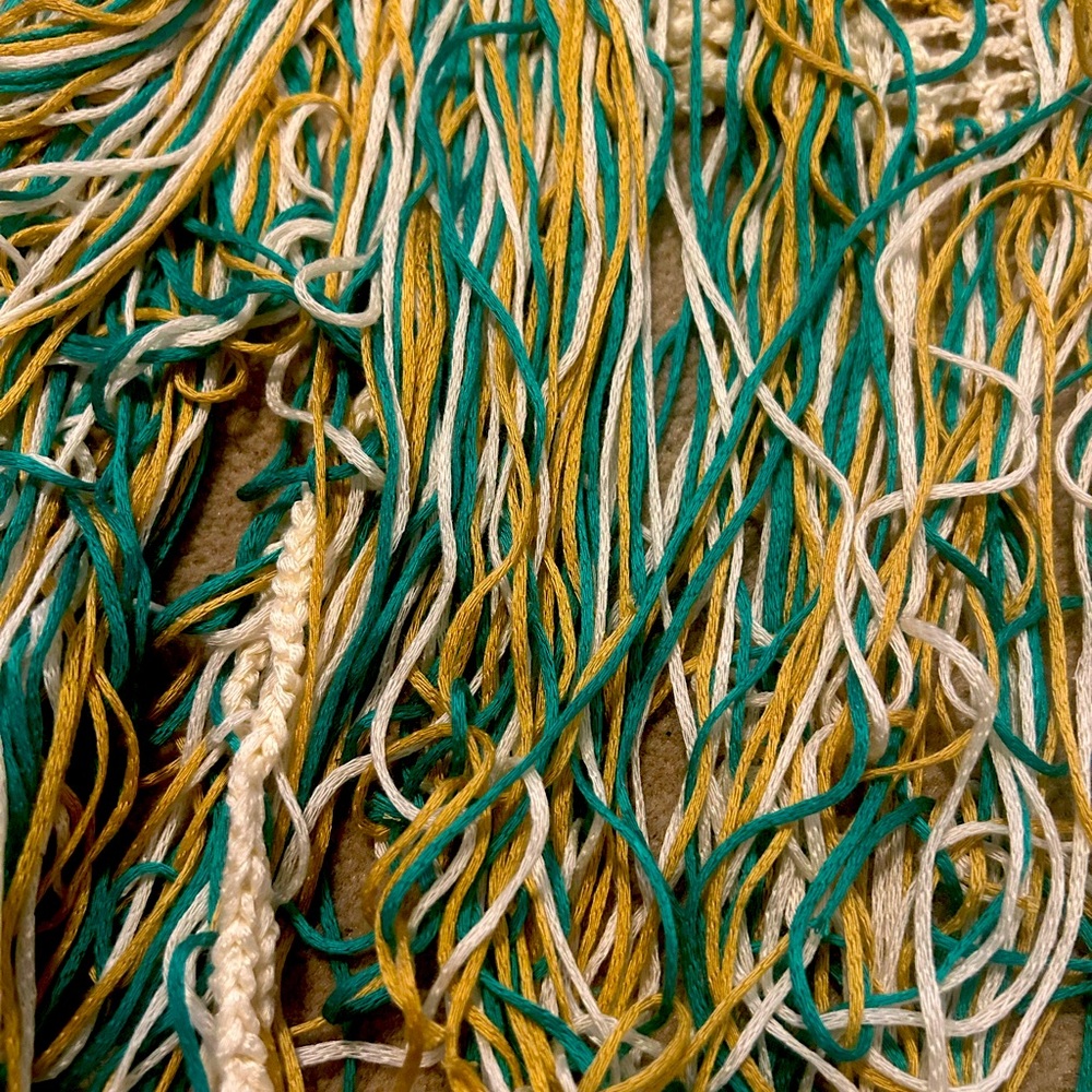 X Small - Picture 2 of 5